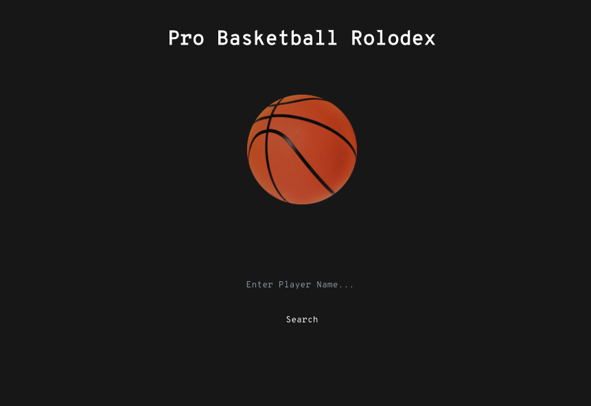 pro basketball project